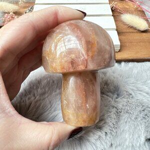 Hematoid Quartz Mushroom Carving